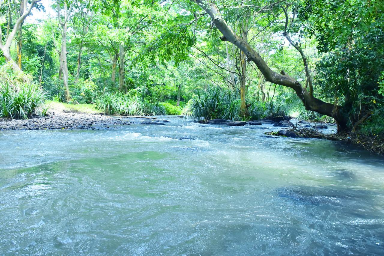Silent River Cottage Udawalawe Exterior photo